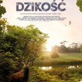 dzikosc-podglad